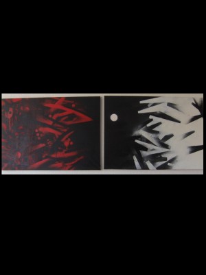 bienmal-2x50x70-aÃ©rosol-250â‚¬